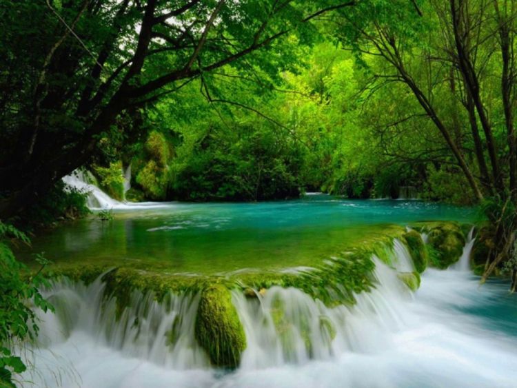 Nacionalni park Plitvička jezera: Harmonija jezera i šume