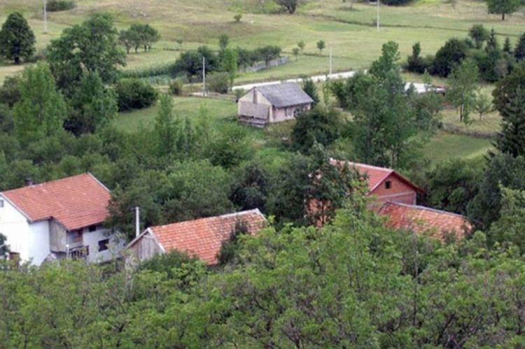 Nezapamćena pojava kod Grahova: Cesta krvava od pregaženih skakavaca