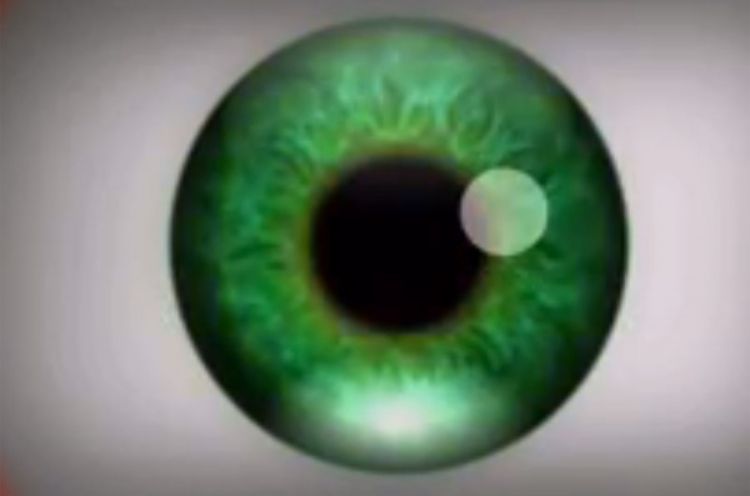 Optička iluzija: Od ovog video-klipa ćete halucinirati