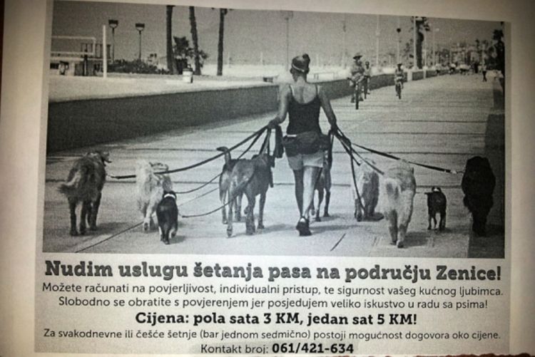 Pravnica šeta kućne ljubimce