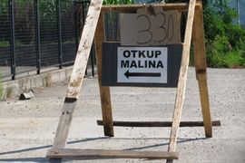 Cijena maline 3,3 KM, isplata odmah