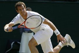 Vimbldon: Mareju titula, Novak nadigran