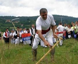 Sladojević - najbolji kosac
