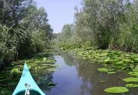 U Hutovom blatu 50 odsto manje vode, krivolov cvjeta