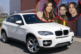 Aleksandar Mitrović vozio sestrin BMW, Željko nije želio da mu kupi ...
