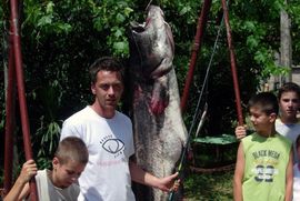 Ulovio soma teškog 85 kilograma