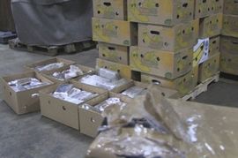 Među bananama pronađeno 811 kg kokaina