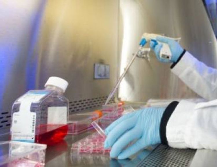 Koštana srž - lijek protiv HIV-a?