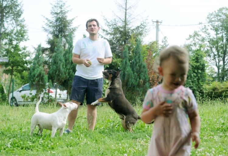 Odrasta uz igru sa bul terijerima