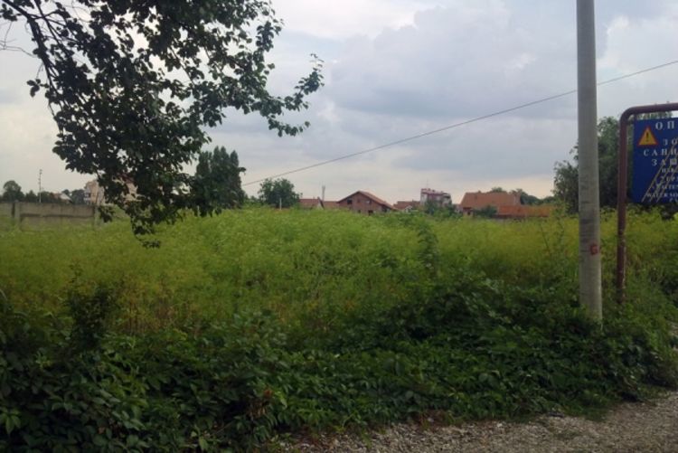O korovu i zmijama niko ne brine?