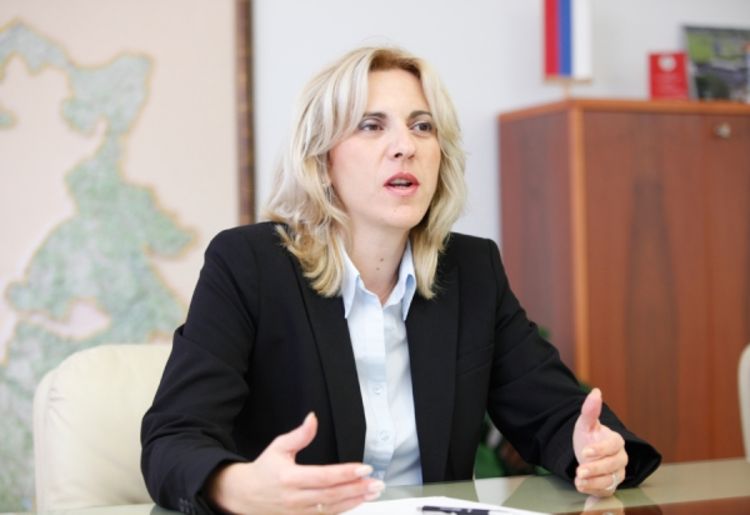 Cvijanović: Pripremljena krivična prijava protiv Emira Suljagića