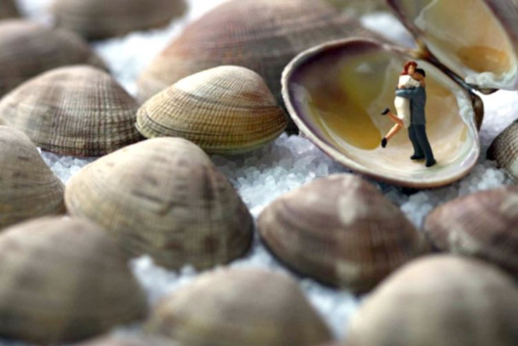 Minijature na fotosešnu