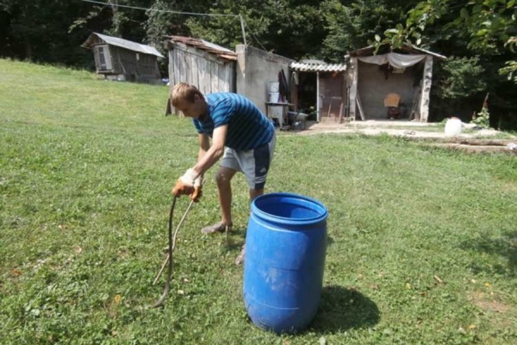 Sele iz kuća zbog najezde zmija