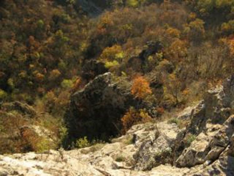 Spašen biciklista iz BiH