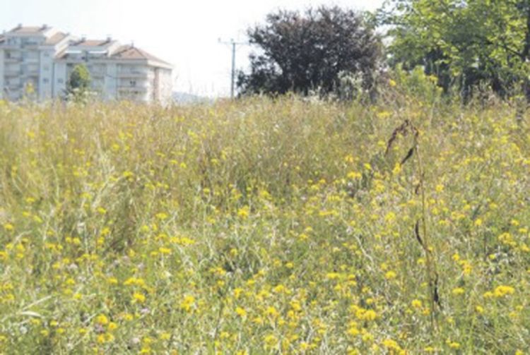 Banjaluka: Prašuma na dva kilometra od centra grada