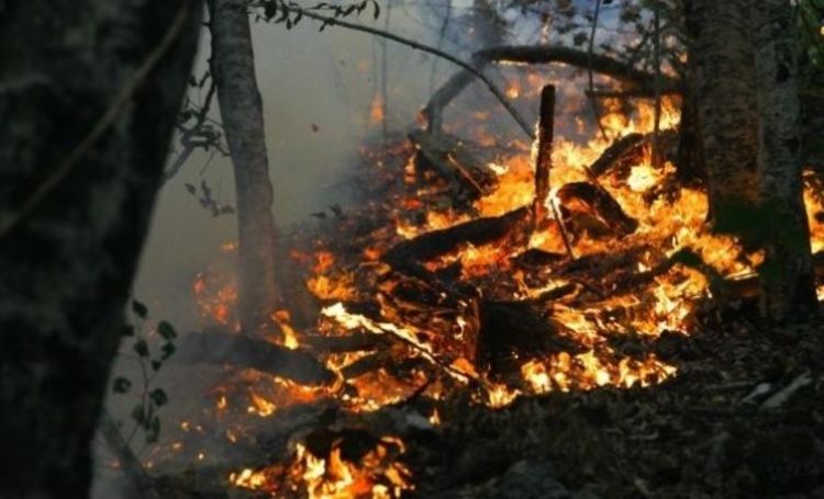Vatru na Tari gasi i žandarmerija