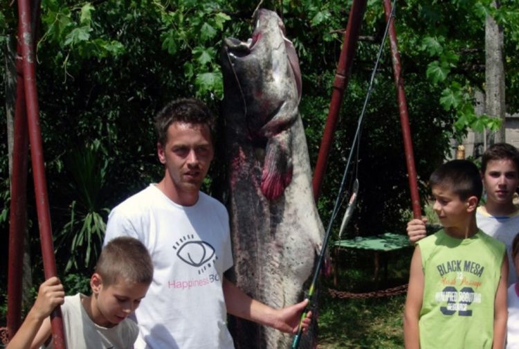 Ulovio soma teškog 85 kilograma