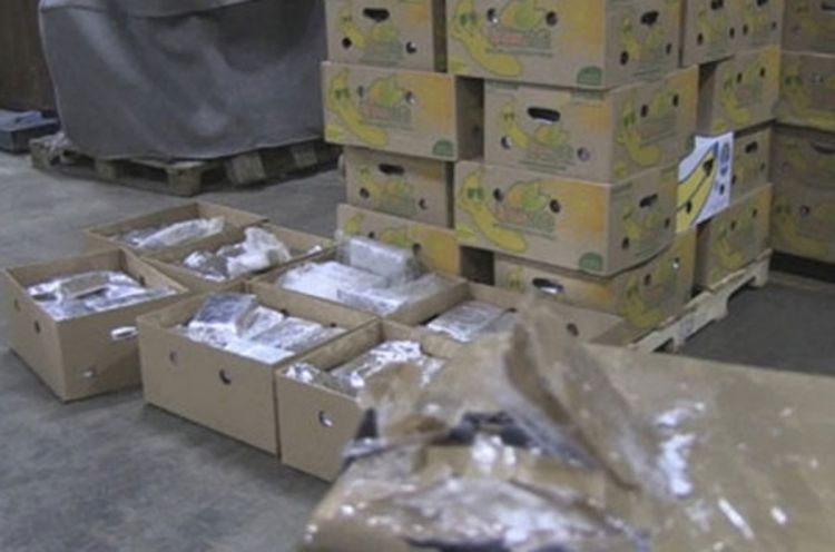 Među bananama pronađeno 811 kg kokaina