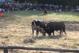 Pomjeren termin Grmečke koride