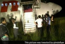 Avion udario u kravu