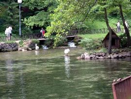 Oko 16.500 posjetilaca na vrelu Bosne od kako se naplaćuje ulaz