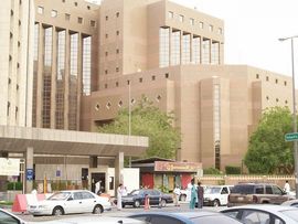 Saudijac težak 610 kilograma smješten u bolnicu