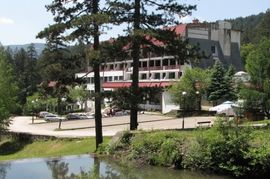 Opština pomaže rekonstukciju Viline vlasi