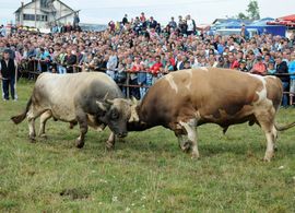 Centralna svečanost u Stričićima završena koridom