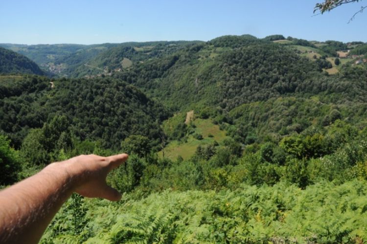 Banjaluka: Uzgajaju drogu kod zaraslog kanjona