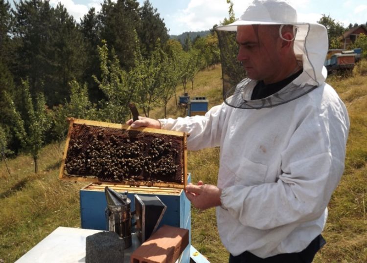 Novčani podsticaji pčelarima u Višegradu