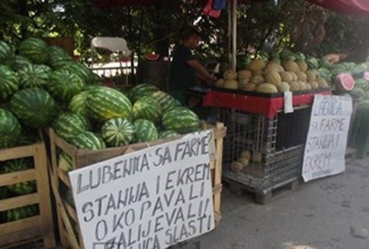 Lubenica koju su okopavali Stanija i Ekrem na Farmi stigla u Banjaluku