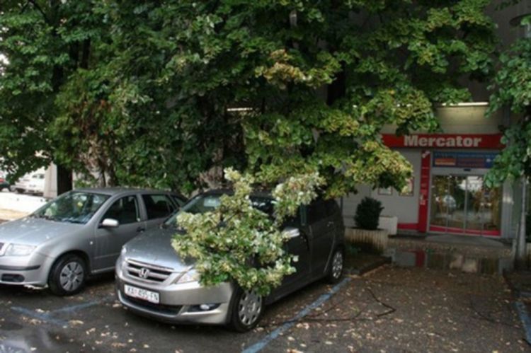 Oluja stigla u Karlovac: Snažan vjetar nosio krovove, lomio drveće