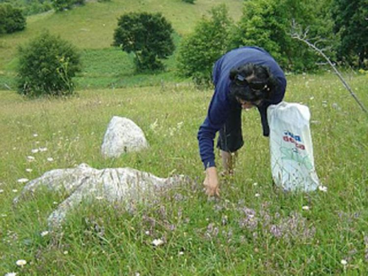 Potražnja ogromna, tržište oslonjeno na uvoz