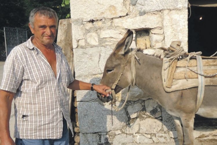 Optuženi za mučenje životinje: Ljudi, ja tog magarca žitom hranim