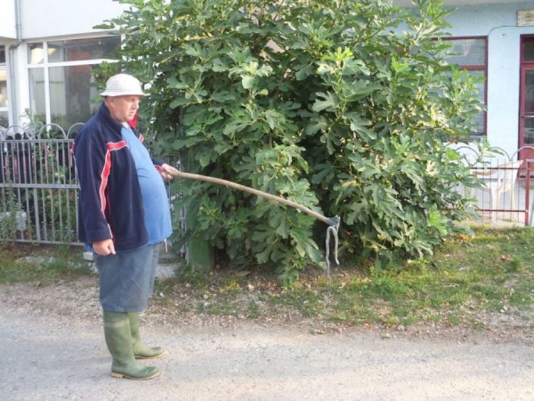 Ubio poskoka u kući