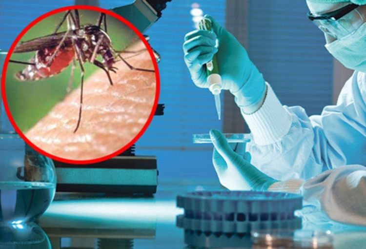 Virus Zapadnog Nila moguć i u BiH