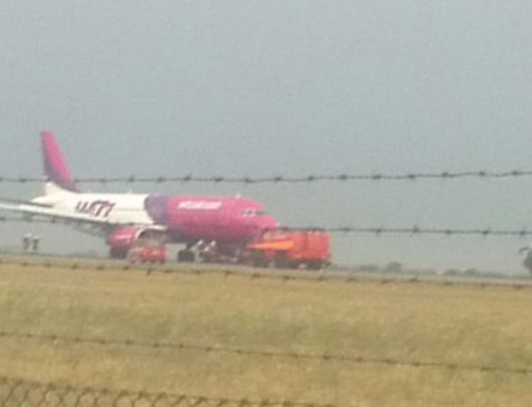 Ptica uletjela u motor aviona pred polijetanje sa beogradskog aerodroma