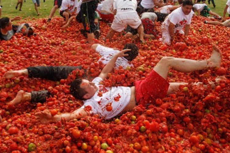 Naplata ulaznica za gađanje paradajzom