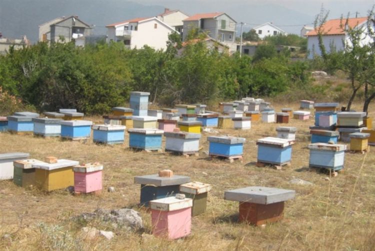 Traže jeftiniju registraciju vozila za prevoz košnica