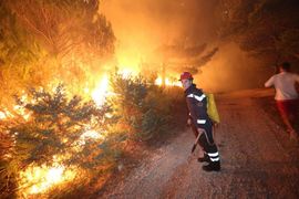 Veliki požar od Splita i dalje bukti: Evakuisano dvoje ljudi, u pomoć ...