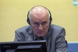 Batler: Cilj nije bio osvajanje Srebrenice