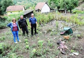 Rekavice kod Banjaluke: Medvjed prišao kućama i rastrgao ovcu
