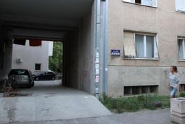 Rasvijetljen okrutni obračun kosom i sjekirom