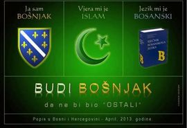 Novi predpopisni hit "Bošnjačka himna za popis 2013.": Ja sam ...