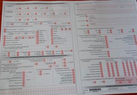 Uputstvo za dijasporu: Evo kako se vrši popis državljana BiH koji ...