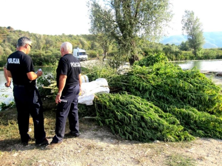Razbijena narko-grupa: I starica uhapšena zbog droge