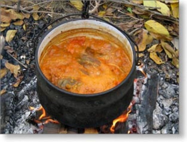 Otvoren Gastro-fest na Bardači