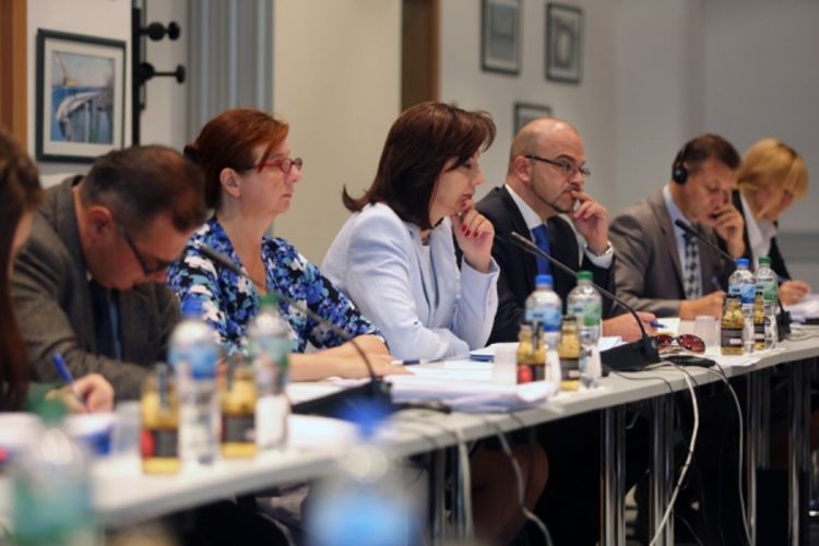 Rasprava o suspendovanim IPA projektima