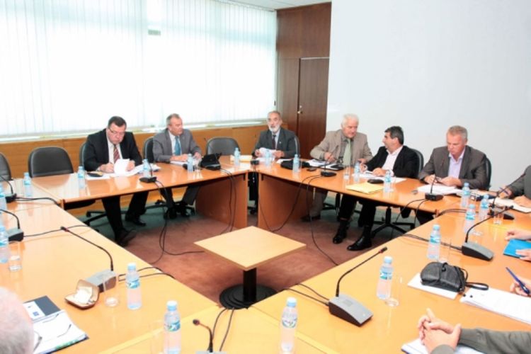 Bh. diplomate žive u 18 kvadrata