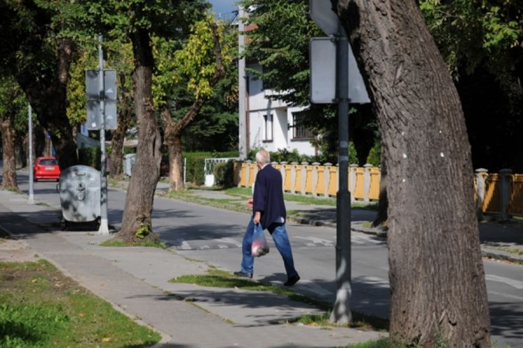 Nesavjesni pješaci ometaju vozače